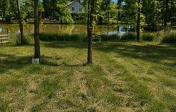 1725 County Road 182, Cedar Bluff, AL 35959