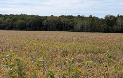 6571 W Saint Charles Road, Sumner, MI 48801