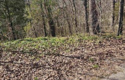 L-3, B-24 Algonquin Circle, Cherokee Village, AR 72529