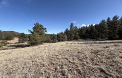 Canyon Rd, Cotopaxi, CO 81223