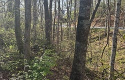 Thunderhead, Sky Valley, GA 30537