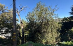 Westover Drive, Oakland, CA 94603