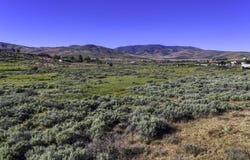 954 Meadow View Lane, Chilcoot, CA 96105