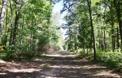 V/L N Bear Track, White Cloud, MI 49349
