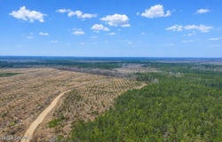 Highway 121, Glennville, GA 30427