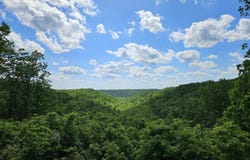 2489 Logan Ridge Road, Ozark, MO 65721