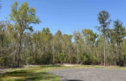 Parcel 2 E US 90 Highway, Lee, FL 32059-8266