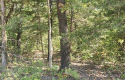 13239 County Road 290, Flemington, MO 65650