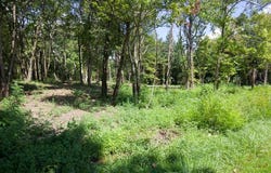 204 Vandy Circle, Sparta, TN 38583