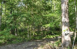 5201 Highway 150, Sequatchie, TN 37374