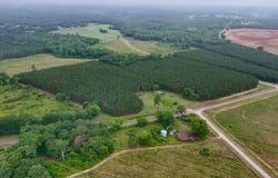 0 County Road 259, Clopton, AL 36317