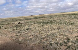 County Road 6200, Idalou, TX 79329