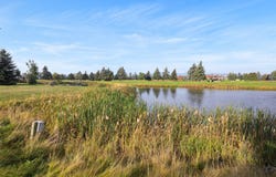 1427 Lake Pointe Drive, Bigfork, MT 59911