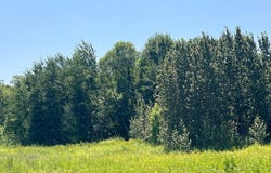 36200 County Road 39, Laporte, MN 56461