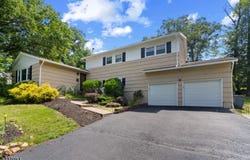 260 Saint Cloud Ave, West Orange Twp., NJ 07052-2521