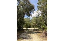 6650 NW 12th Ct, Bell, FL 32619