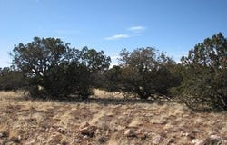 985 Ellsworth Drive, Heber, AZ 85928