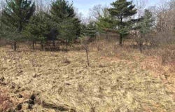 291 TRACK IRON Trail, Gladwin, MI 48624