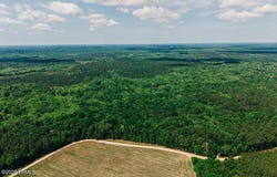 Parnel Road, Cope, SC 29038