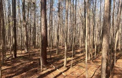 Fishing Creek Road lot: 7, Enfield, NC 27823