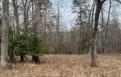 12 Tellico Trl, Murfreesboro, AR 71958