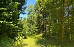 15 Carleton Pnd Rd, Camden, NY 13316