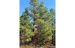 205 Bear Cedar Trail, Broken Bow, OK 74728