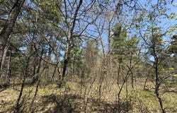 V/L US-10, PLEASANT PLAINS TWP, MI 49642