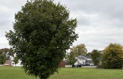 Danforth Pl, Massena, NY 13662