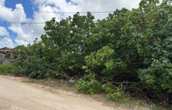 chalan pinpin, Dededo, GU 96929