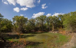 Tract 7 E Terry Road, Duncan, OK 73533