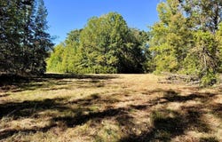 County Road 211, Carrollton, MS 38917