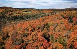 1011 Ralph Road, Brookfield, VT 05036