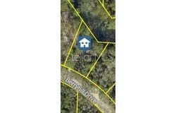BERRYHILL Drive, WEBSTER, FL 33597
