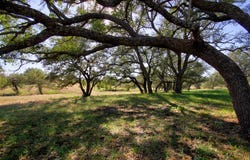 132 Offer Lane, Llano, TX 78643