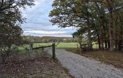 0 Highway D - Tract 5b (10.9+/- Acres), Eolia, MO 63344