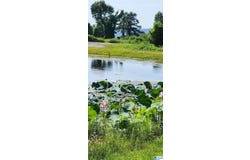 2811 EBELL ROAD, ONEONTA, AL 35121