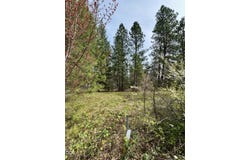 N Old Stage Road, Cave Junction, OR 97523