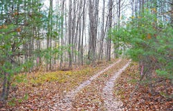 390 Joyful Way, Jumping Branch, WV 25969