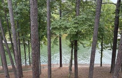 282 Ledges Trl, Alexander City, AL 35010