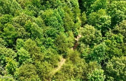 1 Ditney Hill Rd, Drakesboro, KY 42337