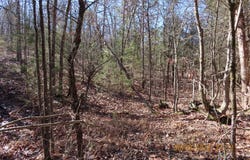 SE 137th RD, Wister, OK 74966