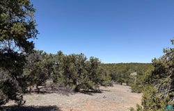 Pima Drive, Quemado, NM 87829