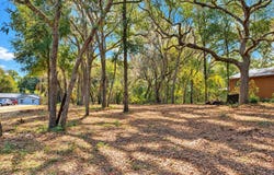 7043 GATORBONE Road, Keystone Heights, FL 32656