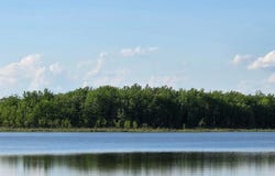 N Drive S, Burlington, MI 49029