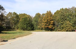 Wild Turkey Road, West Plains, MO 65775