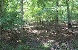 Karen Road, Gravois Mills, MO 65037