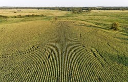 SW 130th Rd, Kincaid, KS 66039