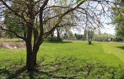603 E Harrison Street, Frankton, IN 46044