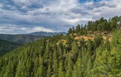 Clear Creek Road, Evergreen, CO 80439
